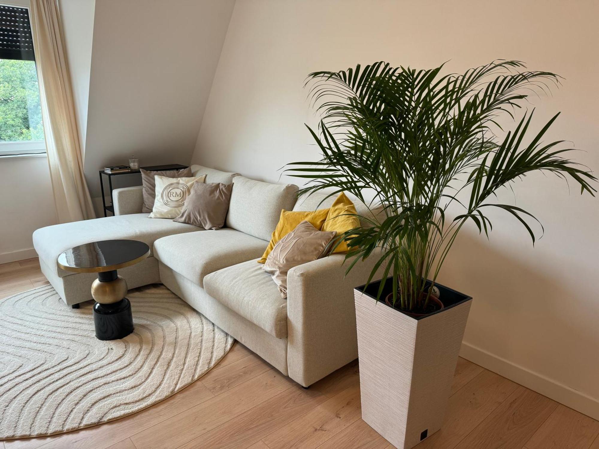 Moon Apartment Stary Toruń Extérieur photo